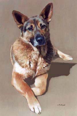 Pet Portraits - Dog Paintings from Your Favourite Photos - German Shepherd - Oils on Canvas