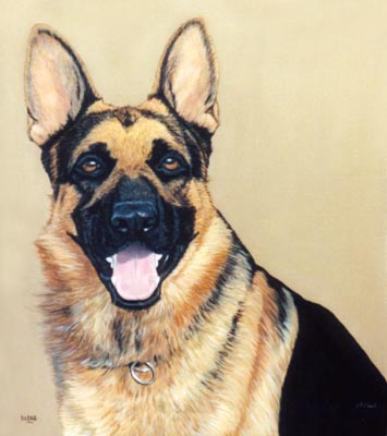 Pet Portraits - Dog Paintings from Your Own Photos - German Shepherd Head Study - Oils