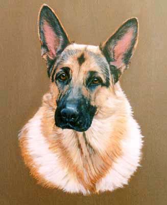 Pet Portraits - German Shepherd Dog Painting