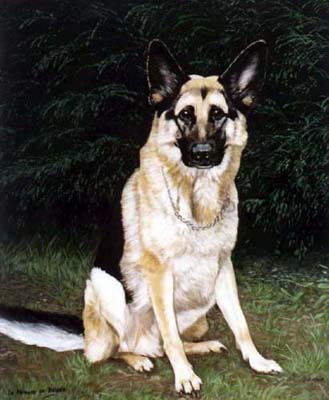 Pet Portraits - Dog Paintings from Your Own Photos - German Shepherd Sitting - Bruno in Oils