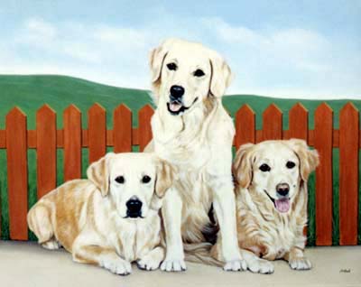 Pet Portraits - Dog Paintigs from Your Own Photos - 3 Golden Retrievers in Oils