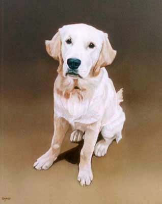 Pet Portraits Golden Retriever dog paintings