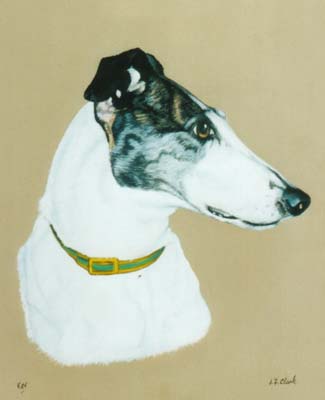 Pet Portraits - Dog Paintings from Your Own Photos - Greyhound Head Study Kay - Oils