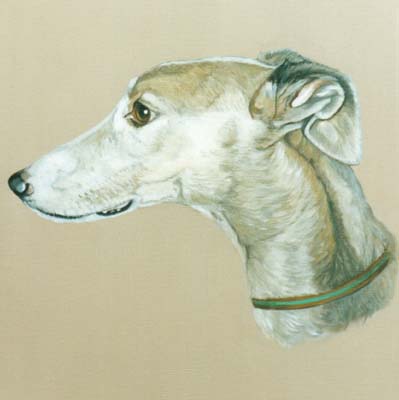 Pet Portraits - Dog Paintings from Your Own Photos - Greyhound Head Study Lola - Oils