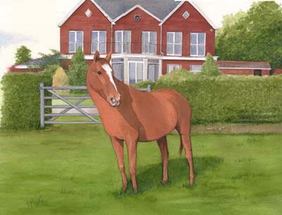 Pet Portraits - Horse and Pony Paintings from Your Favourite Photos - Horse Head Study in Oils