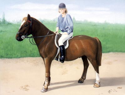 Pet Portraits - Horse and Pony Paintings from Your Favourite Photos - Horse and Rider in Oils