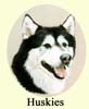 Click for more Images of Huskies paintings