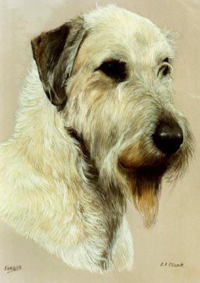 Pet portraits dog paintings - Irish Wolfhound Painting by Isabel Clark,English Artist
