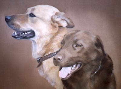 Pet Portraits - Labrador Retrievers - Oil Painting