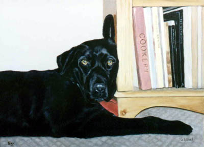Pet Portraits - Dog Paintings from Your Own Photos - Black Labrador Retriever Sam - in Oils
