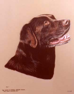 Pet Portraits - Labrador painting by Isabel Clark