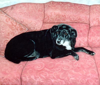 Pet Portraits - Labrador on Settee - Zoe - Oils