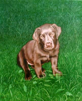Pet portraits - Labrador Retriever oil painting