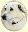 Click for larger image of Labrador Retriever painting