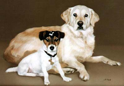 Pet Portraits - Mixed Groups - Golden Retriever and Jack Russell Terrier - Oils