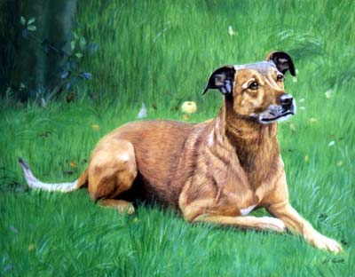 Pet Portraits - Mongrel in Orchard - oils