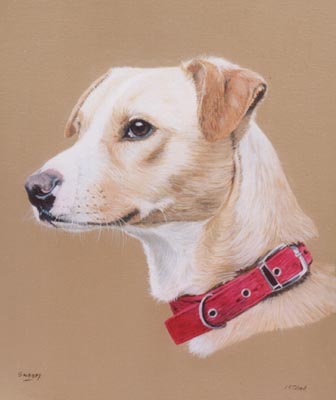 Pet Portraits - Mongrel Dog Oil Painting