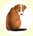 Click for large image of puppy painting