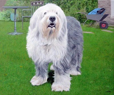 Old English Sheepdog paintings by Isabel Clark