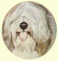 Click for larger Image of Old English Sheepdog painting 