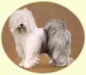 Click for larger Image of Old English Sheepdog painting