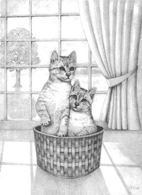 Pet Portraits - Cat and Kitten Paintings and Pencil Studies from Your Own Photos