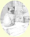 Click for larger image of cat portrait in pencil
