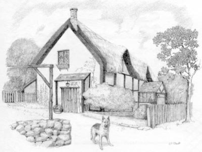 Pet Portraits - Landscape Pencil Study