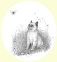 Click for larger image of cat portrait in pencil