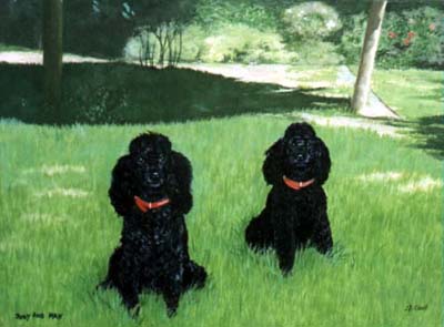 Pet Portraits - 2 Poodles in Garden - Oils