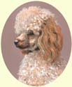 Click for larger image of poodle painting