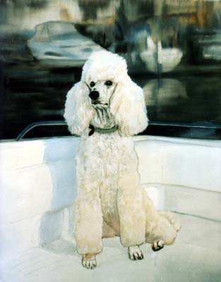 Pet Portraits - Poodle Chanel on boat - Oils
