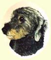 Click for larger image of poodle painting