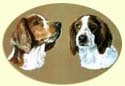Click for larger image of Springer Spaniels painting