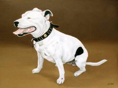 Pet Portraits Dog paintings - Staffordshire Bull Terrier painting 